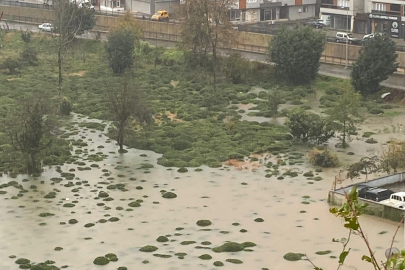 Rize Çayeli'nde heyelan! CHP: Bu tür afetler kader değil, basiretsizliktir!